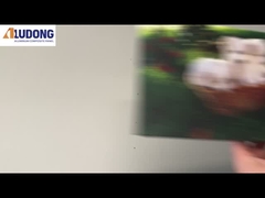 प्रिंटिंग एसीपी